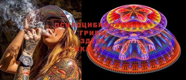прущая мука Алзамай