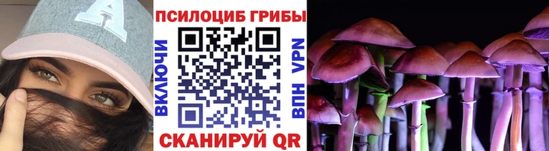 Псилоцибиновые грибы ЛСД  даркнет сайт  Орёл 